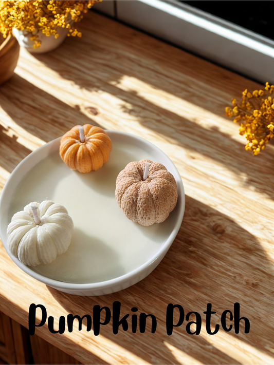 Pumpkin Patch- 10 ounce Candle